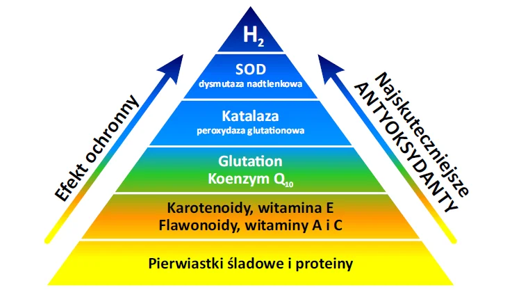 WODÓR CZĄSTECZKOWY – ZDROWIE, URODA, ENERGIA