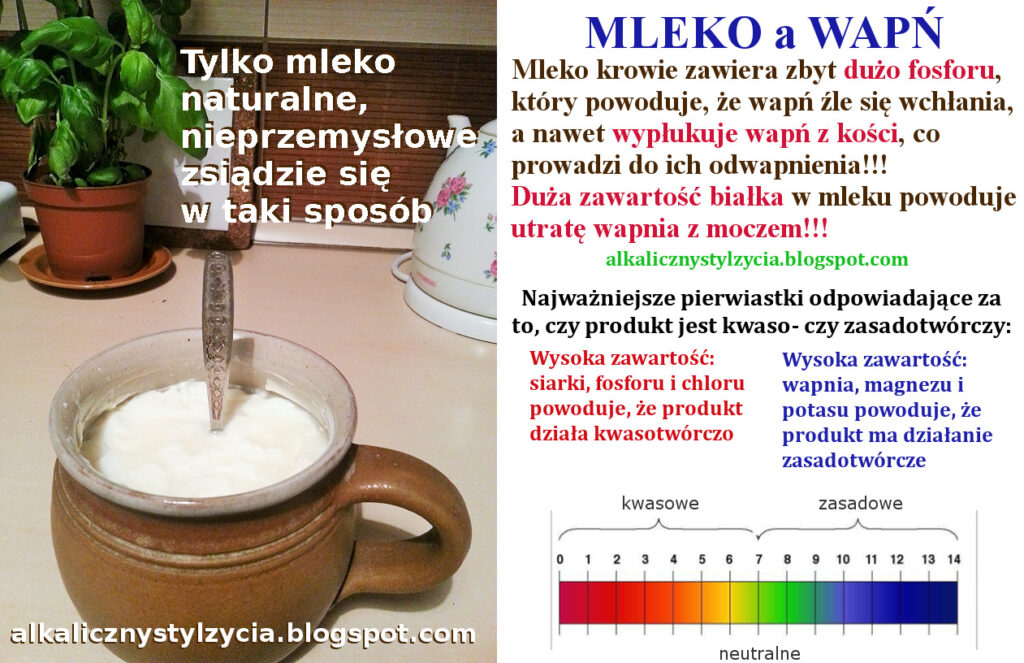 MLEKO – czy mleko jest dobrym źródłem wapnia? Produkty mleczne fermentowane.