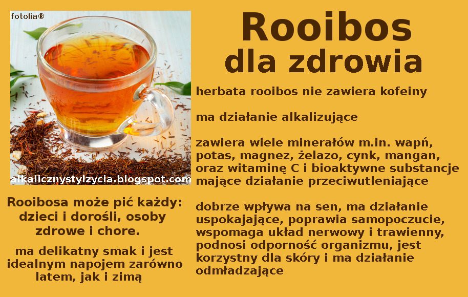 Rooibos – właściwości zdrowotne