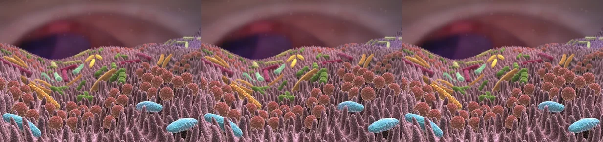 Odporność – co wzmacnia układ immunologiczny