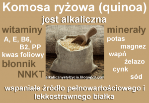 WŁAŚCIWOŚCI KOMOSY RYŻOWEJ (quinoa) – wartości odżywcze komosy