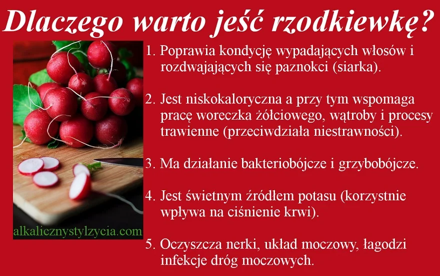 Dlaczego warto jeść rzodkiewkę?