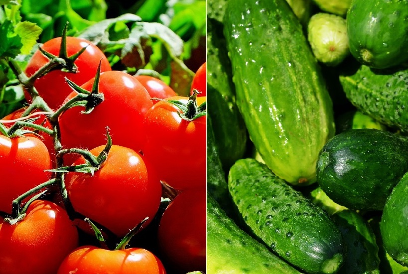 Pomidory, ogórki – dlaczego warto jeść?