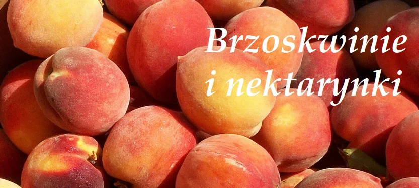 Brzoskwinie i nektarynki - 10 cennych właściwości