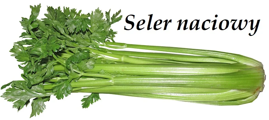 Seler naciowy - 10 cennych właściwości