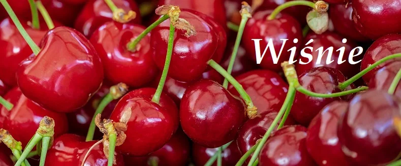 Wiśnie - 10 cennych właściwości