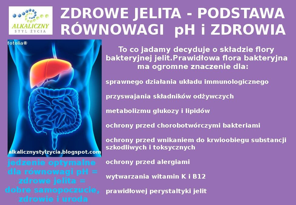 ZDROWE JELITA – flora jelitowa, zdrowy układ pokarmowy.